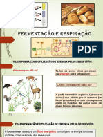 Respiração Celular e Fermentação