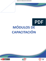 Anexo n10 Módulos de Capacitación