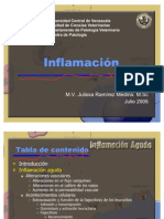 Fisiopatología de La Inflamación Aguda