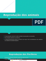 Reprodução Dos Animais