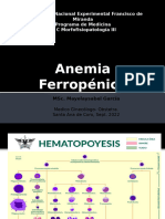 Anemia Ferropenica