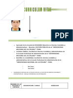 CV-wilder Nicolas Chaparro vilca-MAESTRIA