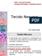 Tecido Nervoso