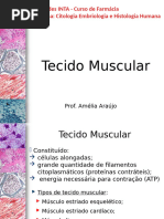 Tec Muscular