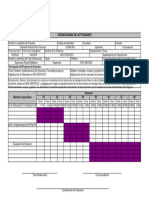 Cronograma de Actividades