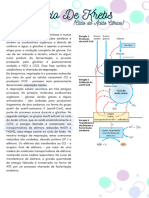 Ciclo de Krebs