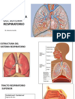 RESPIRATORIO