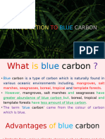 On Blue Carbon