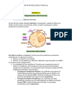 Resumen Segundo Parcial CBC Uba Xxi