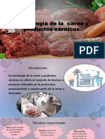 Tecnología de La Carne y Productos Cárnicos