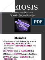 MEIOSIS