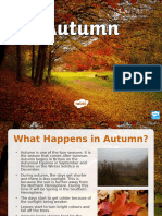 T T 13165 Autumn PowerPoint Ver 7