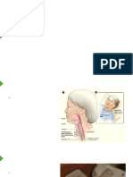 Slides Nursing High Flow Oxygen Delivery