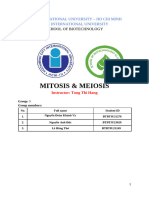 Genetics Mitosis and Meiosis