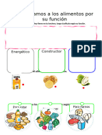 Ficha de Ciencia