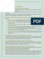 Contaminación Atmosférica