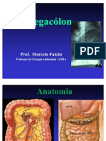 Megacolon Ufba.