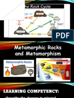 Metamorphis M