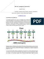 RNA Virus - Clasificación