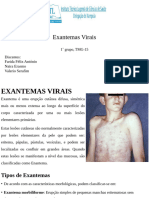 Exantemas Virais-2