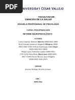 Informe Neuropsicológico