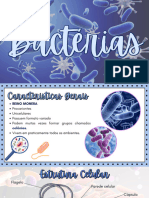 Bactérias PDF