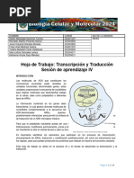 SA4HT1 Hoja de Trabajo de Transcripción y Traducción