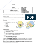 Anatomía de La Cabeza y de Los Miembros Inferiores