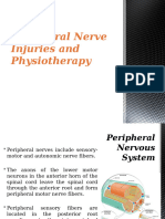 Peripheral Nerve Injuries-Teoric-Pratic