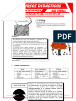 Ejercicios de Comprensión de Textos para Segundo de Secundaria