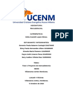 Resumen Ejecutivo Proyecto de Mercadotecnia