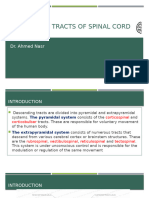 Descending Tracts of Spinal Cord