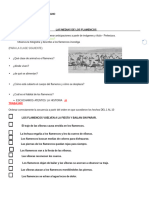 Las Medias de Los Flamencos y Loro Pelado2024