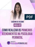 Apostila Da Aula 2 - Workshop de Psicologia Perinatal 2.0