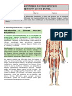 Guía de Aprendizaje Ciencias Naturales Sist. Músculo Esquelético