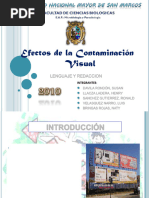 Efectosdelacontaminacinvisual-Grupo1 Importante