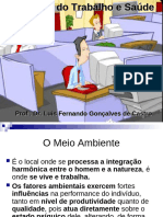 Análise Do Ambiente Do Trabalho