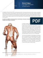 Muscle Fatigue: The Hidden Dimension of Performance by Dr. Denis Boucher, PHD