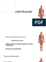 AULA 9 - Tecido Muscular PDF