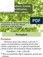 Protoplast Culture and Its Procedures, Hybridization and