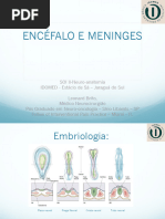 2encefalo E Meninges 240815 080316