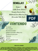 Presentación Plantas Natural Verde y Negro