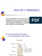 Tornozelo e Pé