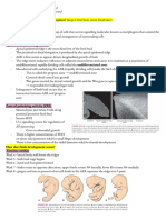 Embryology PBL 4 