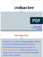 CITROBACTER