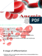 Anaemia FINAL