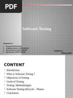 Software Testing