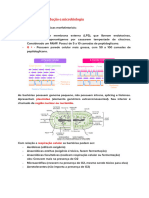 Bacteriologia - Introdução A Microbiologia