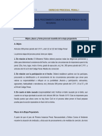 Objeto, Plazos y Forma Procesal Resumida de La Etapa Preparatoria A. Objeto