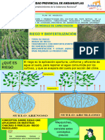 C. Riego y Biofertilización Papas Nativas